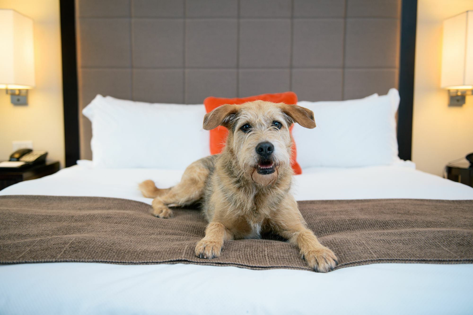 Candlewood Suites - Bluffton-Hilton Head By Ihg Eksteriør billede